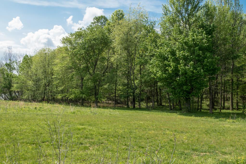 6815 Williams Road Cross Plains, TN 37049 - Photo 23 of 26 a view of outdoor space with deck and yard