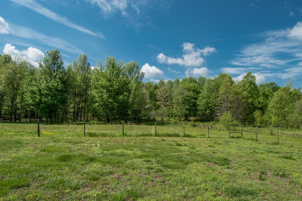 6815 Williams Road Cross Plains, TN 37049 - Photo 26 of 26 a view of a green field