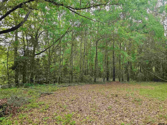 a view of outdoor space and green space