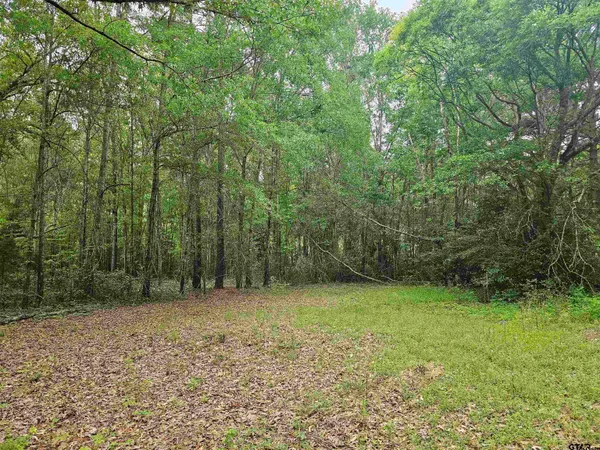 a view of a yard with a trees