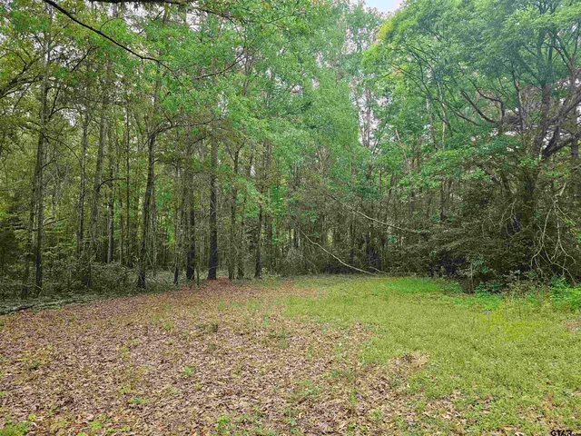 a view of a yard with a trees