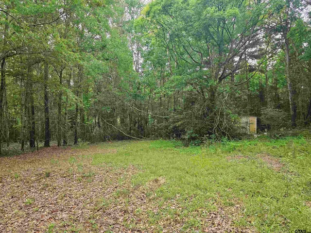 a view of a field with trees in the background