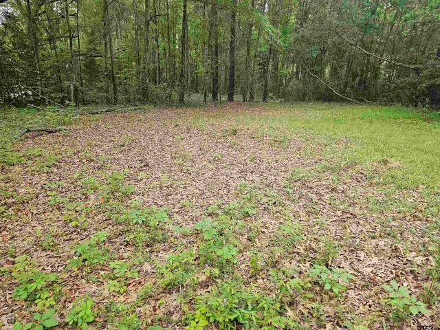 $17,000 | 125 Jenkins Street, Henderson, TX 75652