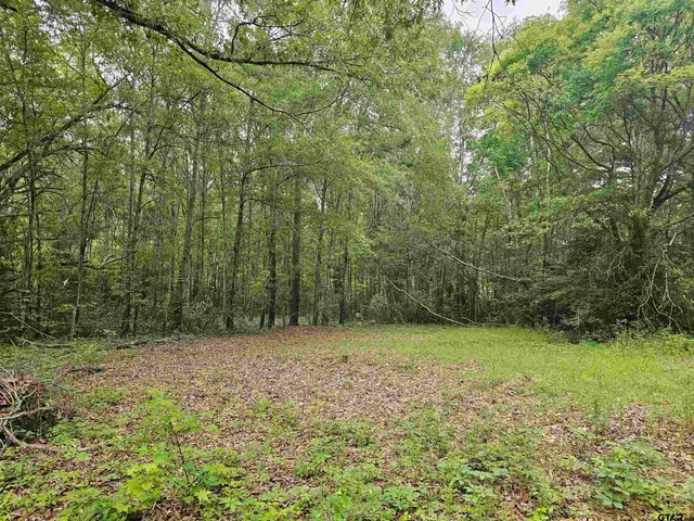a view of a green field with lots of bushes