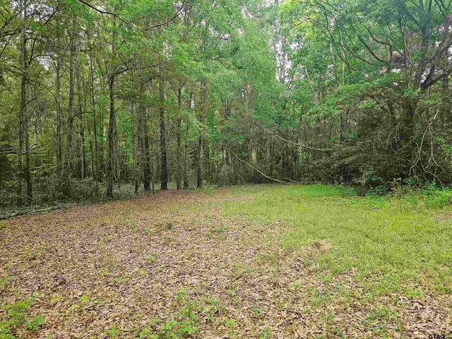 a view of backyard with green space