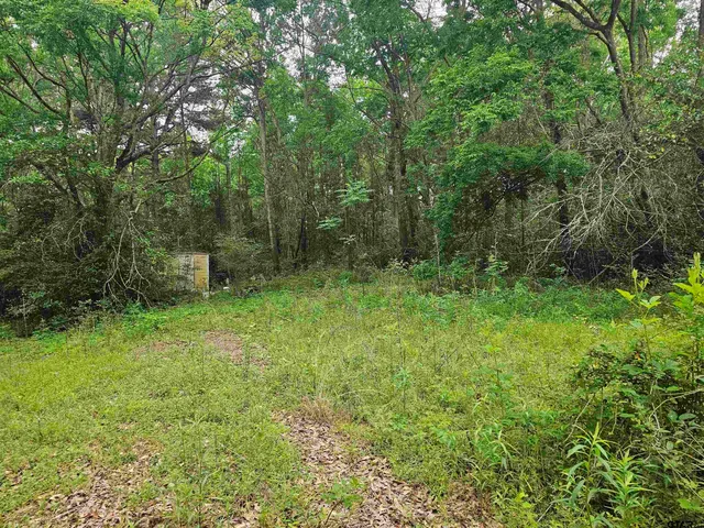 a big yard with lots of green space and deers