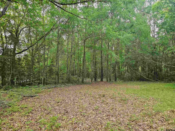 a view of a green field with lots of bushes