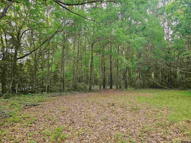 a view of a green field with lots of bushes