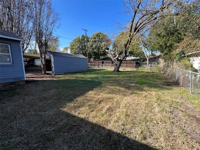 a tall tree in middle of the garden