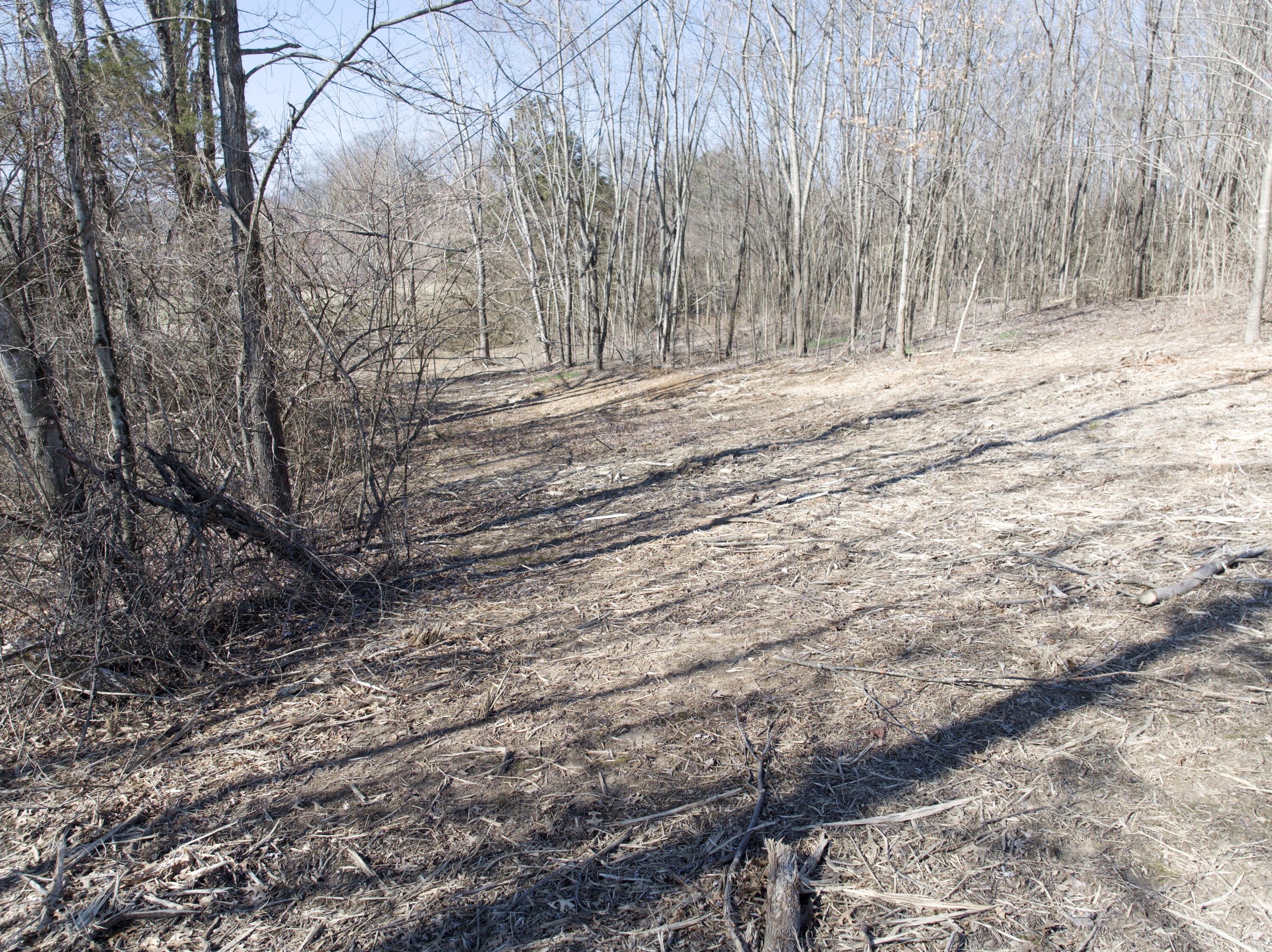 85 Buncombe-Wheeldon Road Science Hill, KY 42553 - Photo 8 of 16 DJI_20250227110918_0056_D_ND16-Enhanced-