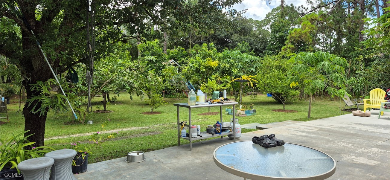 2011 Leroy Avenue Alva, FL 33920 - Photo 18 of 28 a view of a backyard with table and chairs potted plants and large tree