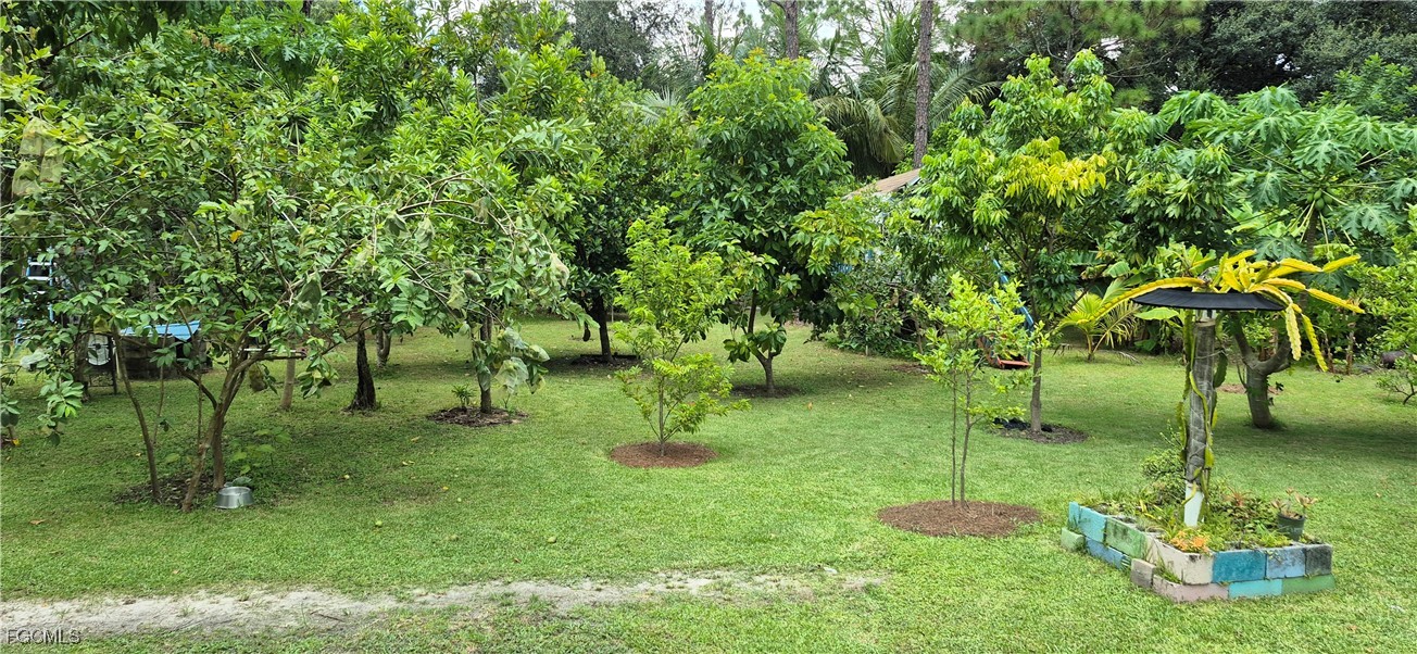 2011 Leroy Avenue Alva, FL 33920 - Photo 23 of 28 a garden view