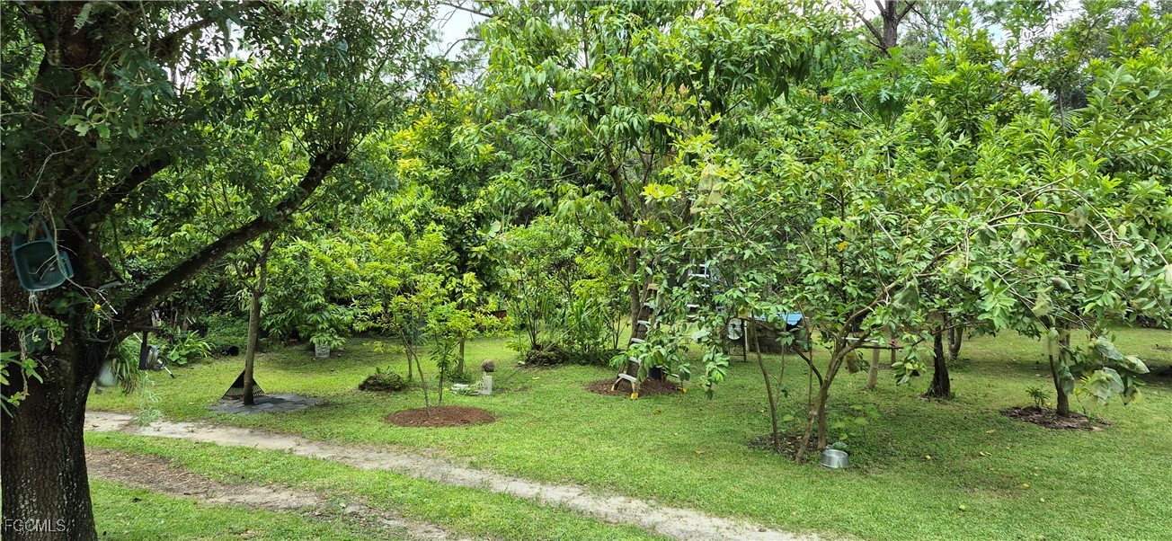 2011 Leroy Avenue Alva, FL 33920 - Photo 24 of 28 a backyard of a house with barbeque oven
