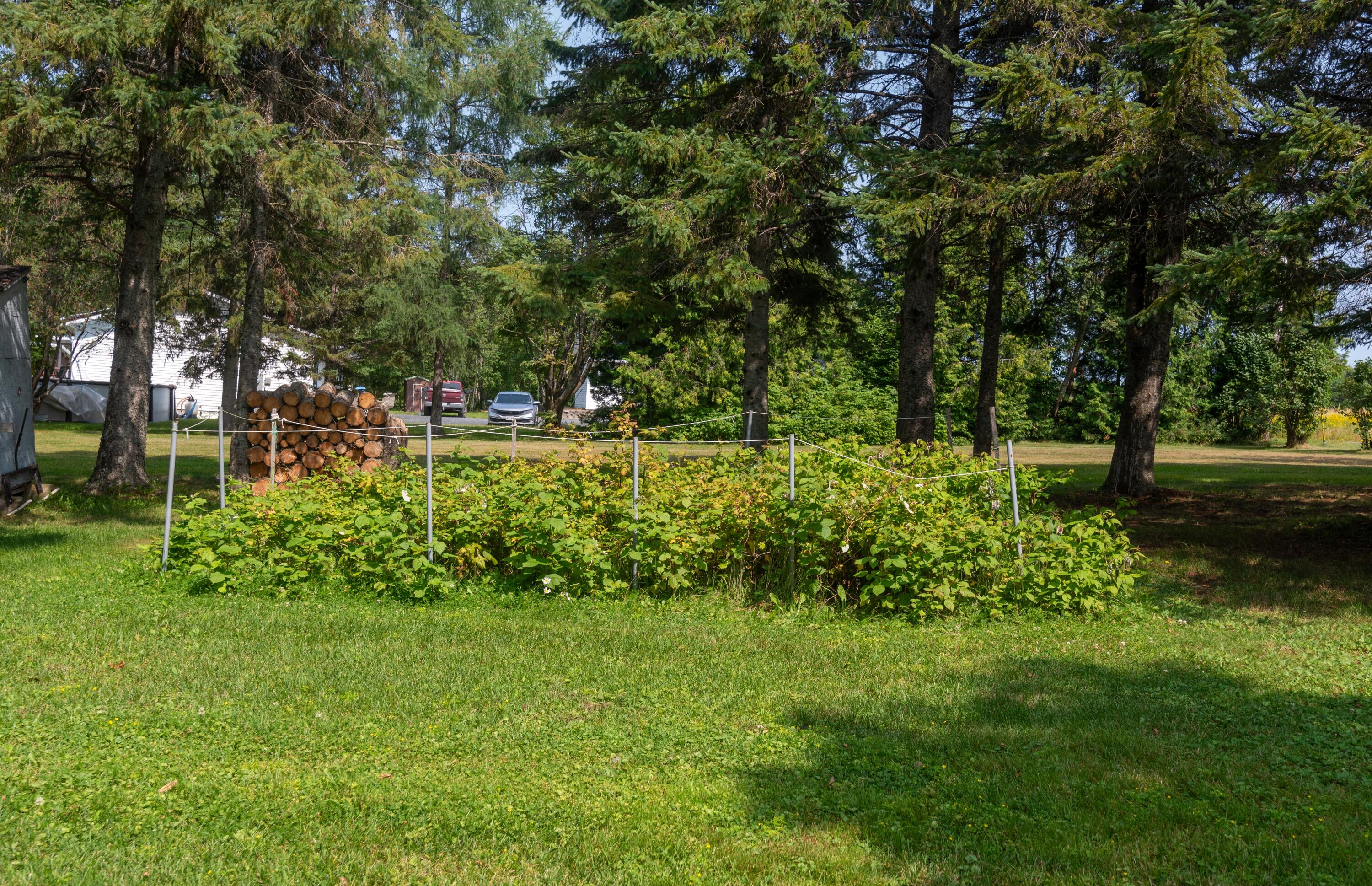 119 Green Point Road, Unit LOT 412 St. David, ME 04773 - Photo 20 of 43 DSC_1724