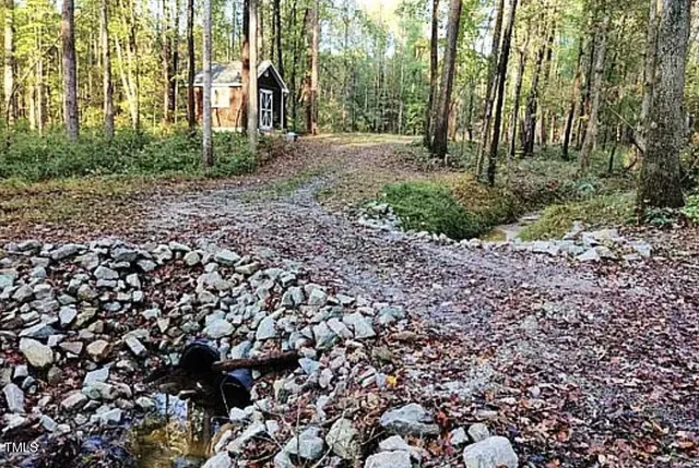 a view of a yard with plants and trees