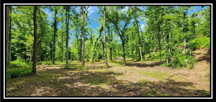 0 Featherstone Road Stewart, OH 45778 - Photo 49 of 72 image050