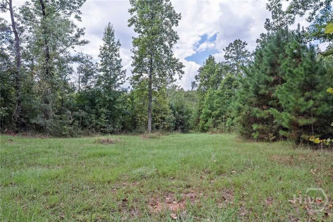 1032 Washington Road Lexington, GA 30648 - Photo 16 of 70 Gallery Image 16