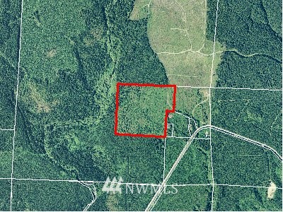 15-xx Kirkpatrick Road Copalis Crossing, WA 98536 - Photo 1 of 1 Gallery Image 1