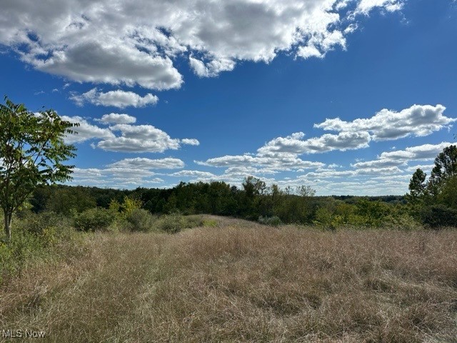17 Rankin Road Cadiz, OH 43907 - Photo 16 of 20 View of landscape