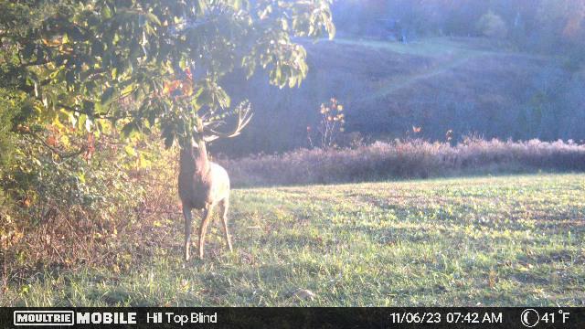 699 Johnson Road Carlisle, KY 40311 - Photo 25 of 59 image638348941779079261