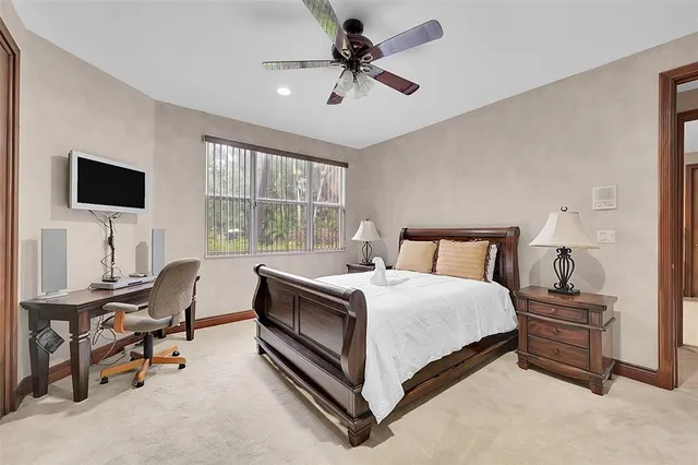 a view of a park with palm trees