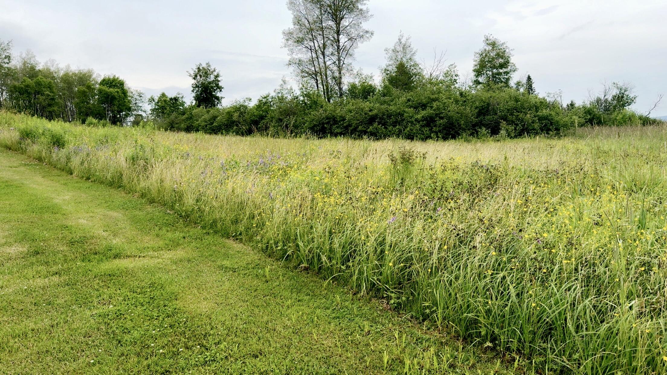 422 Champlain Street Van Buren, ME 04785 - Photo 99 of 100 IMG_1843