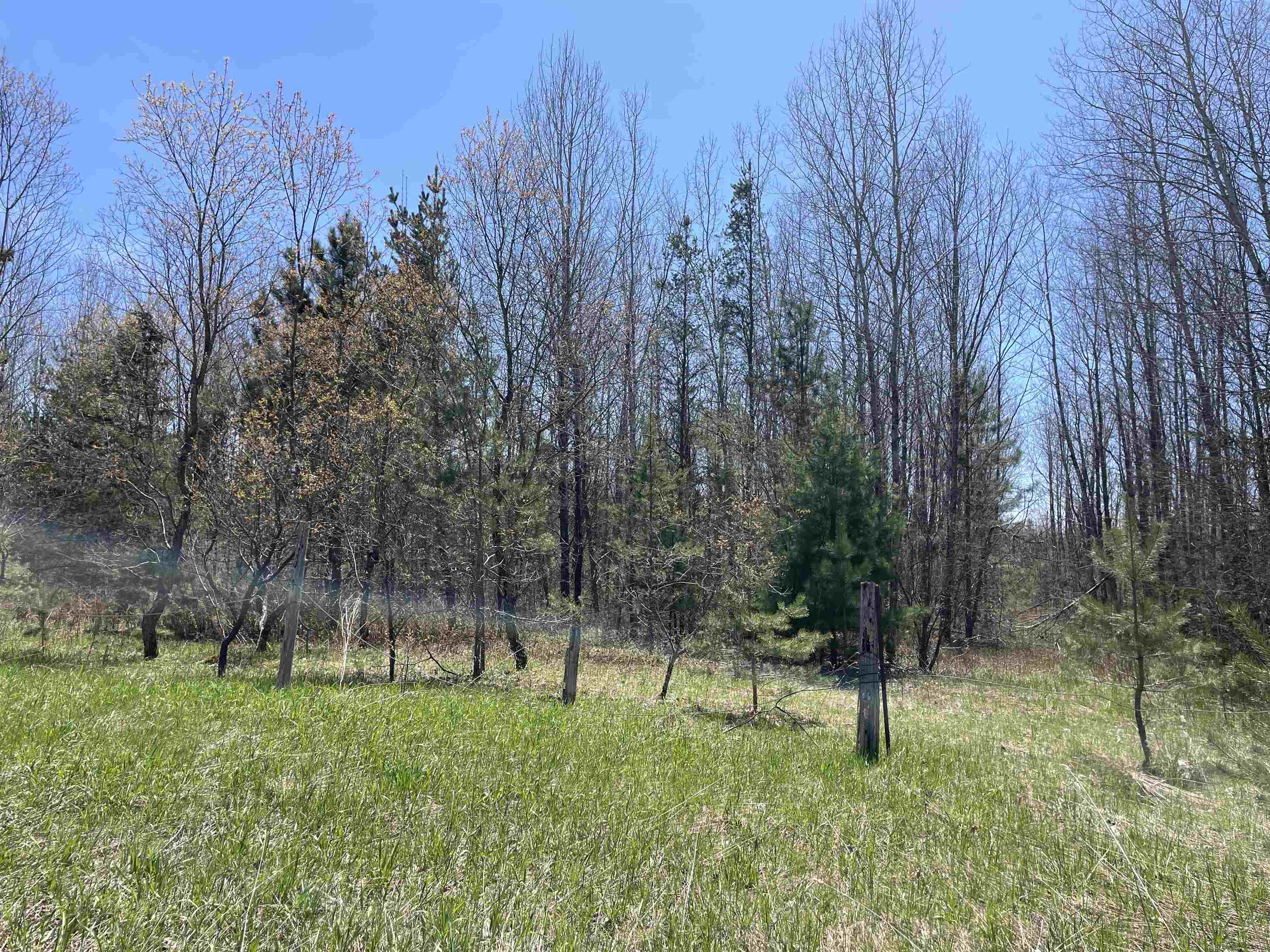 0 East 38 Road Cadillac, MI 49601 - Photo 2 of 39