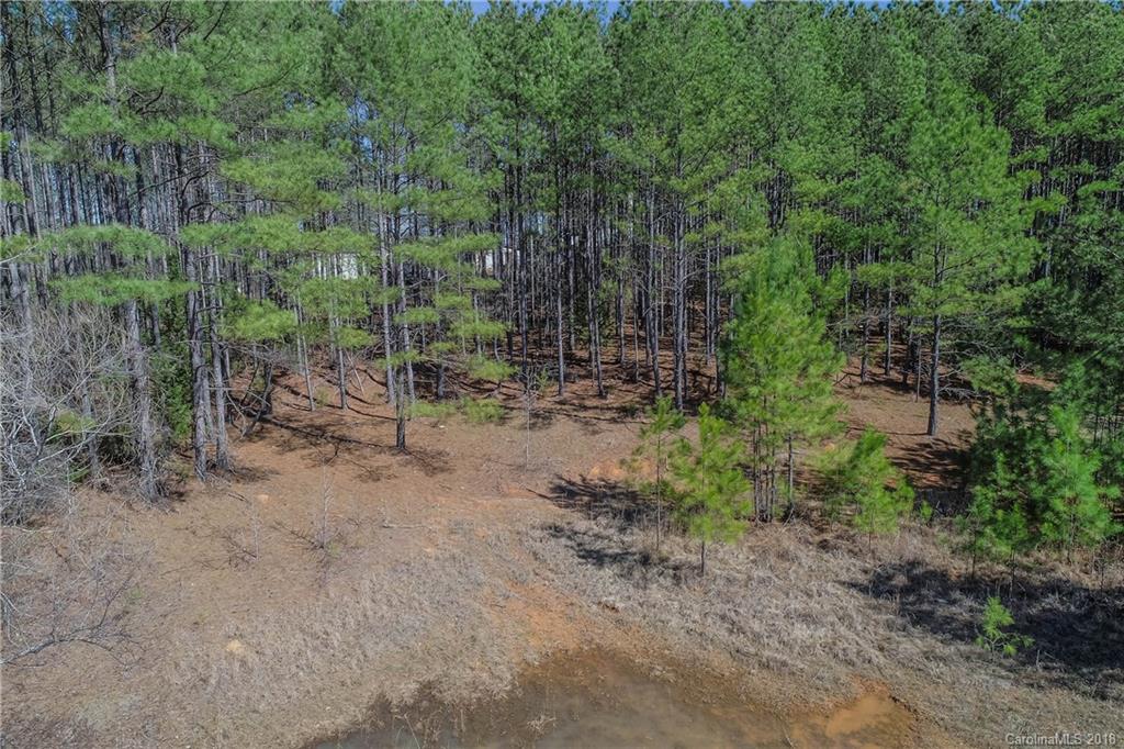 8222 Lockhart Road Sharon, SC 29742 - Photo 5 of 6 a view of a forest with trees in the background