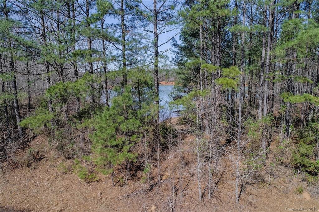 8222 Lockhart Road Sharon, SC 29742 - Photo 6 of 6 a view of a forest with trees