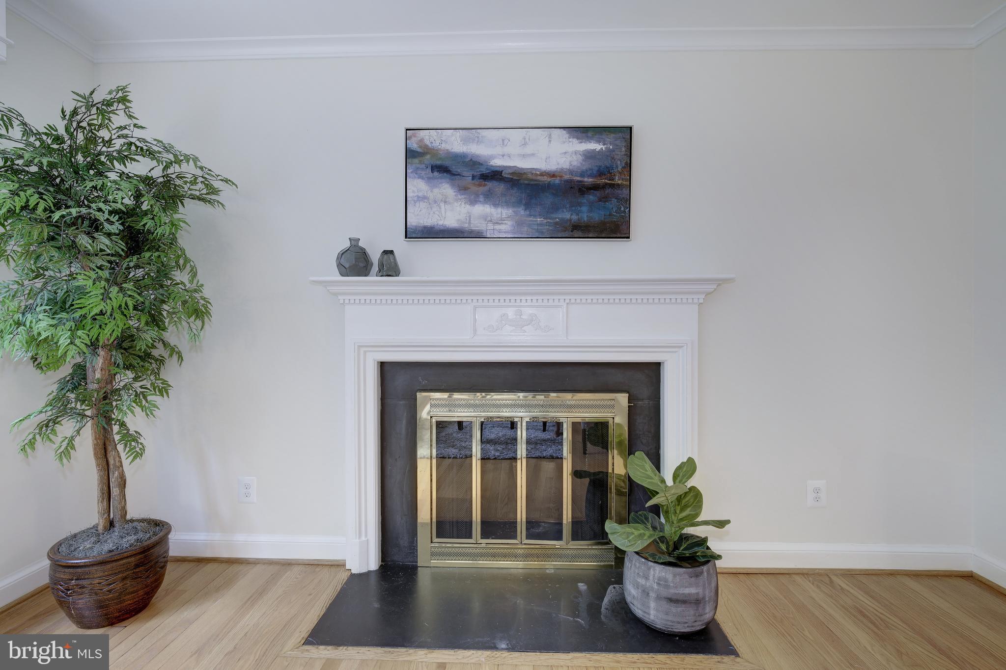 4610 Tournay Road Bethesda, MD 20816 - Photo 12 of 82 Fireplace in Living Room