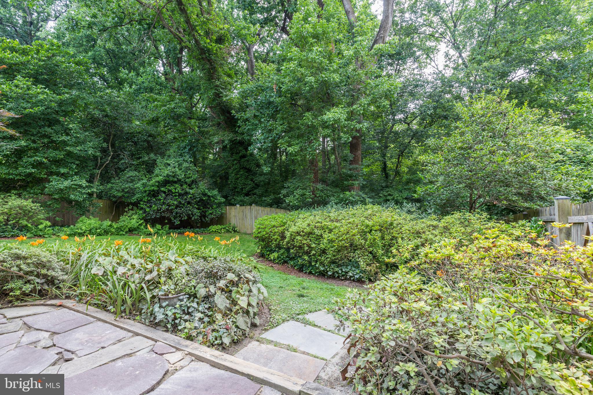 4610 Tournay Road Bethesda, MD 20816 - Photo 74 of 82 Back Yard