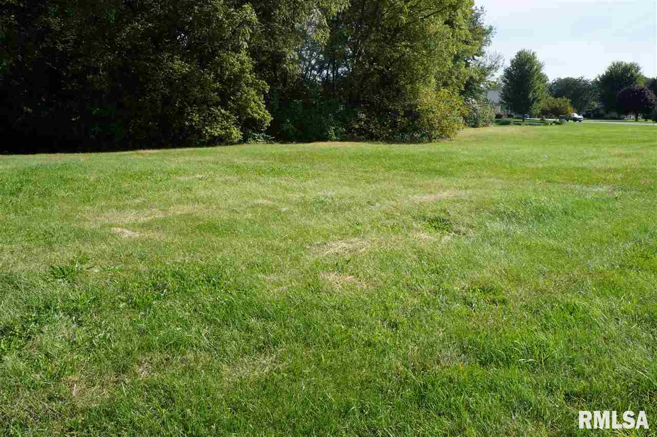 56 Rustic Lake Estates Colona, IL 61241 - Photo 1 of 3 Gallery Image 1