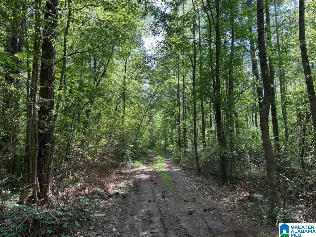 Fleming Road, Unit 1 Vincent, AL 35178 - Photo 3 of 10