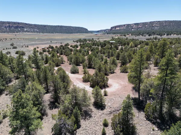 $39,900 | Lot 17 Buttonwood Drive, Ramah, NM 87321