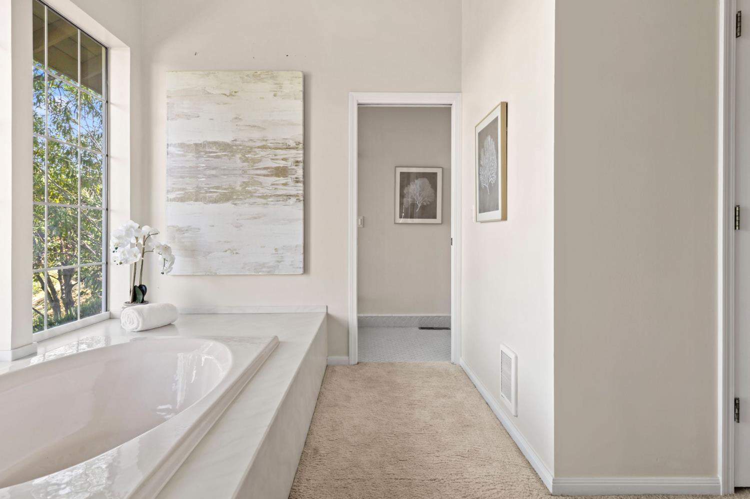 16029 Butte Mountain Road Jackson, CA 95642 - Photo 59 of 92