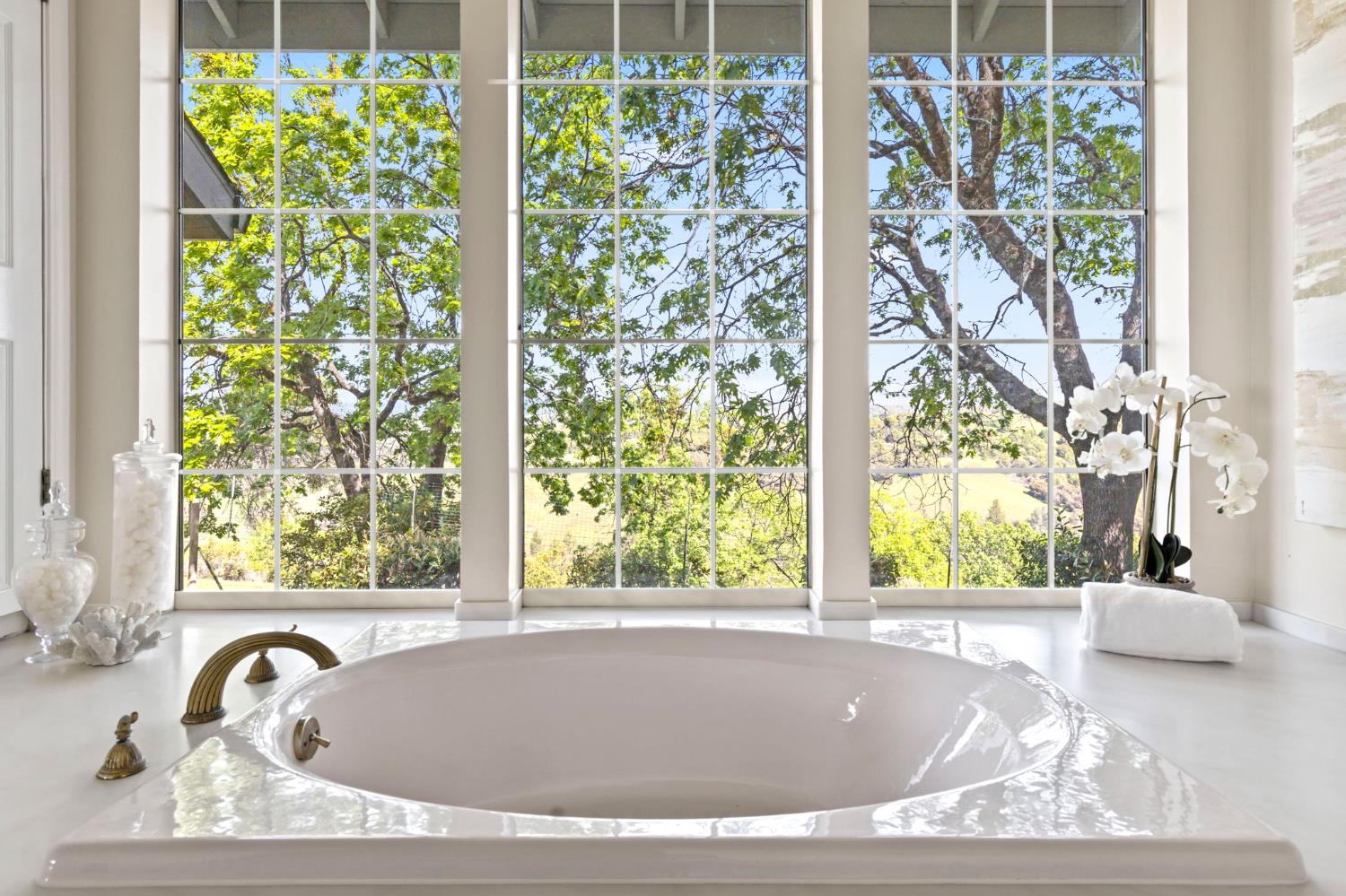 16029 Butte Mountain Road Jackson, CA 95642 - Photo 60 of 92