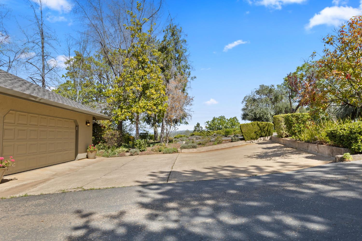 16029 Butte Mountain Road Jackson, CA 95642 - Photo 79 of 90