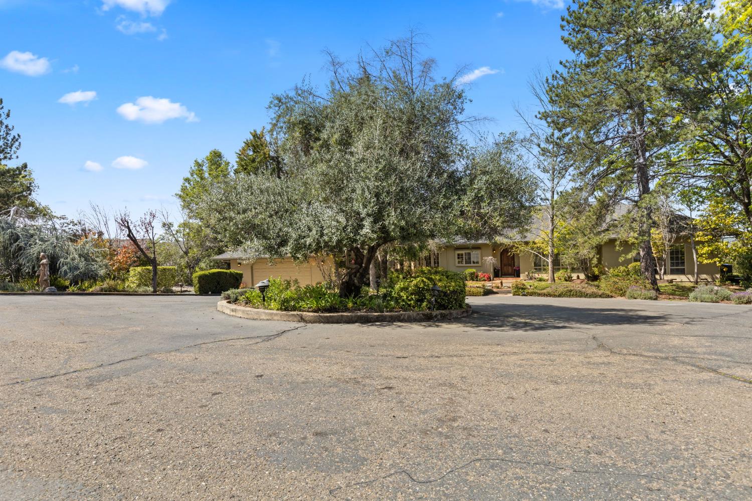 16029 Butte Mountain Road Jackson, CA 95642 - Photo 81 of 90