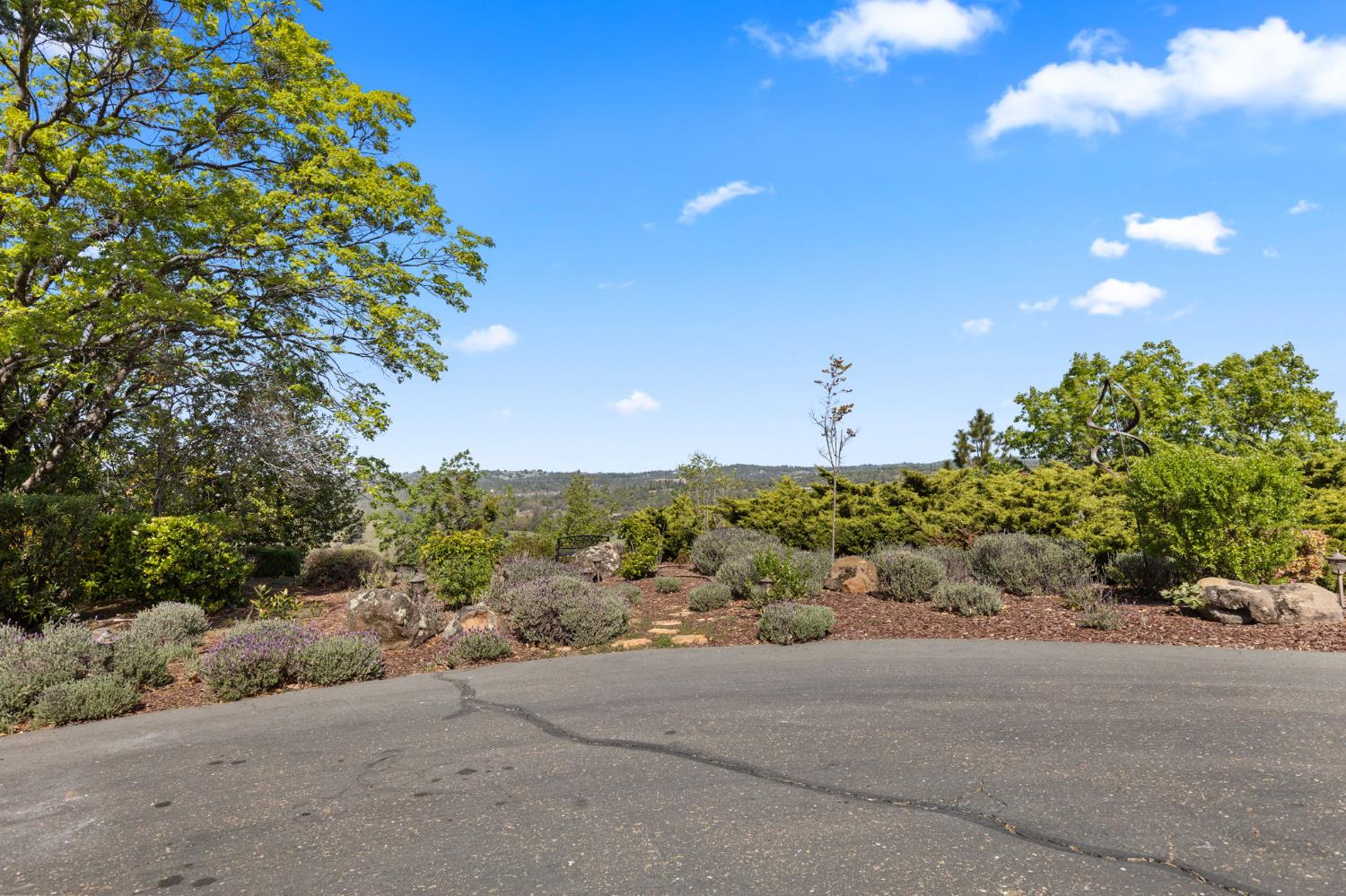 16029 Butte Mountain Road Jackson, CA 95642 - Photo 84 of 92