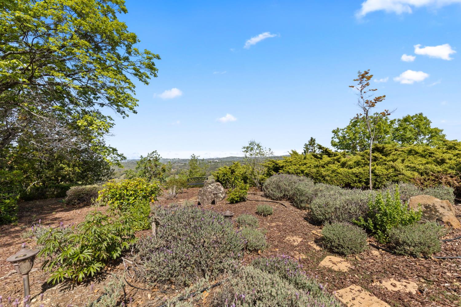 16029 Butte Mountain Road Jackson, CA 95642 - Photo 85 of 92