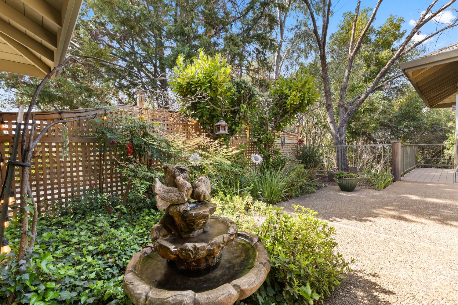 16029 Butte Mountain Road Jackson, CA 95642 - Photo 91 of 92