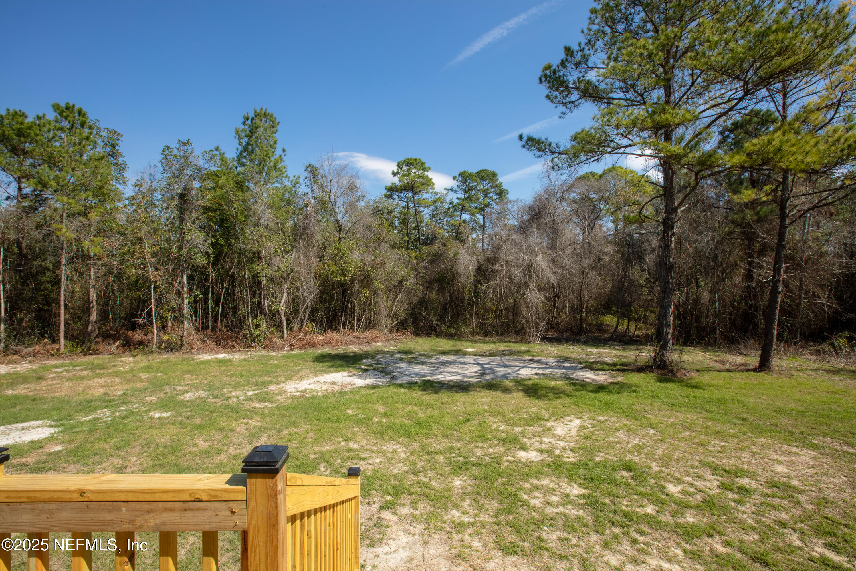 6012 Indian Trail Keystone Heights, FL 32656 - Photo 14 of 61 a view of a yard with an trees