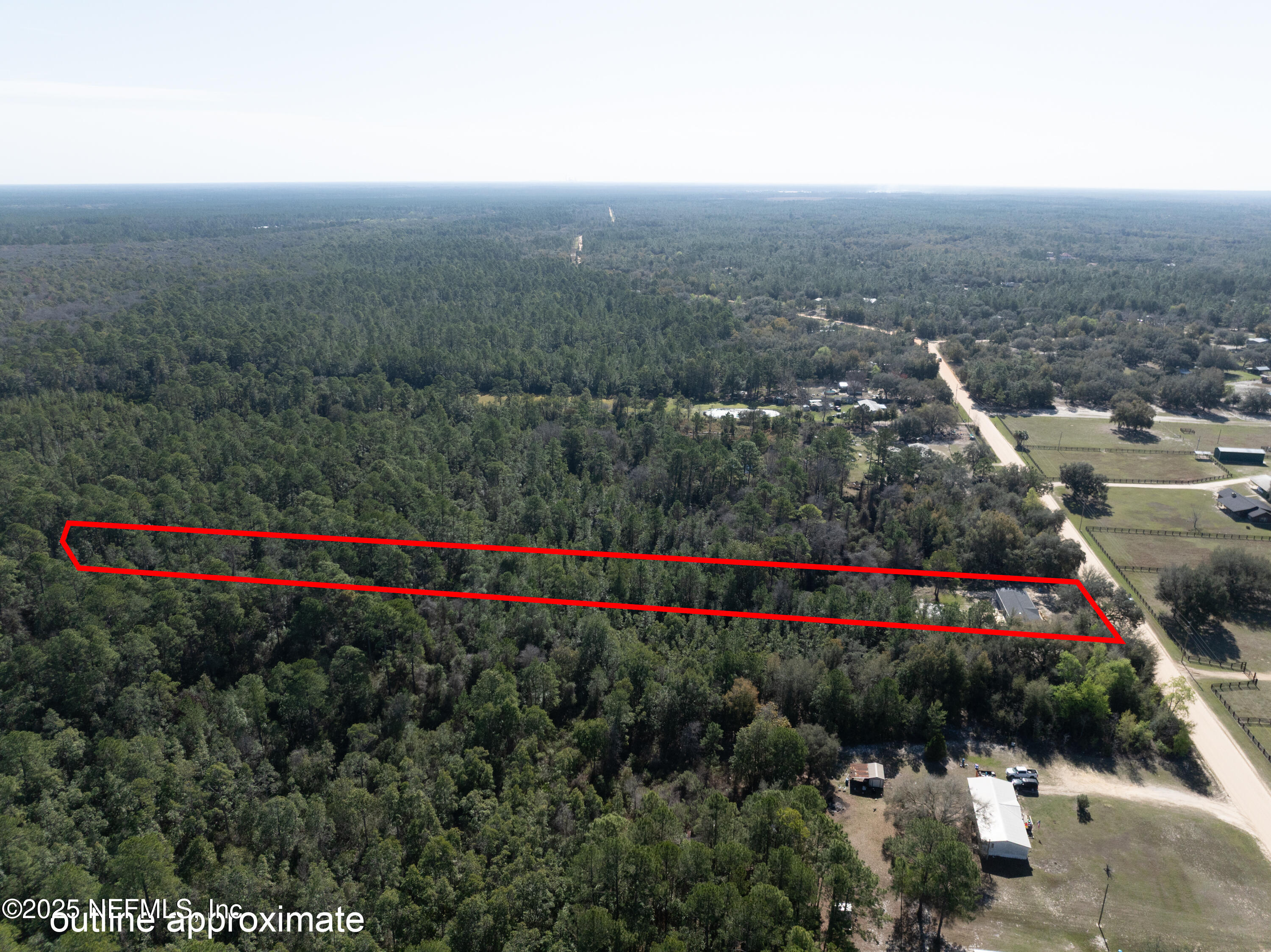 6012 Indian Trail Keystone Heights, FL 32656 - Photo 57 of 61 a view of a bunch of flower and trees