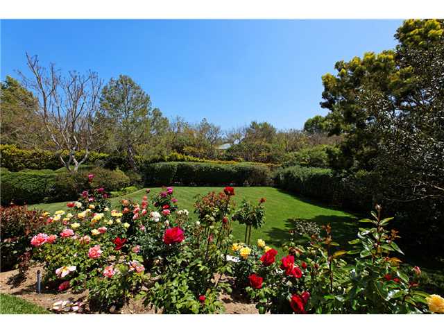 17533 Los Morros Rancho Santa Fe, CA 92067 - Photo 23 of 25