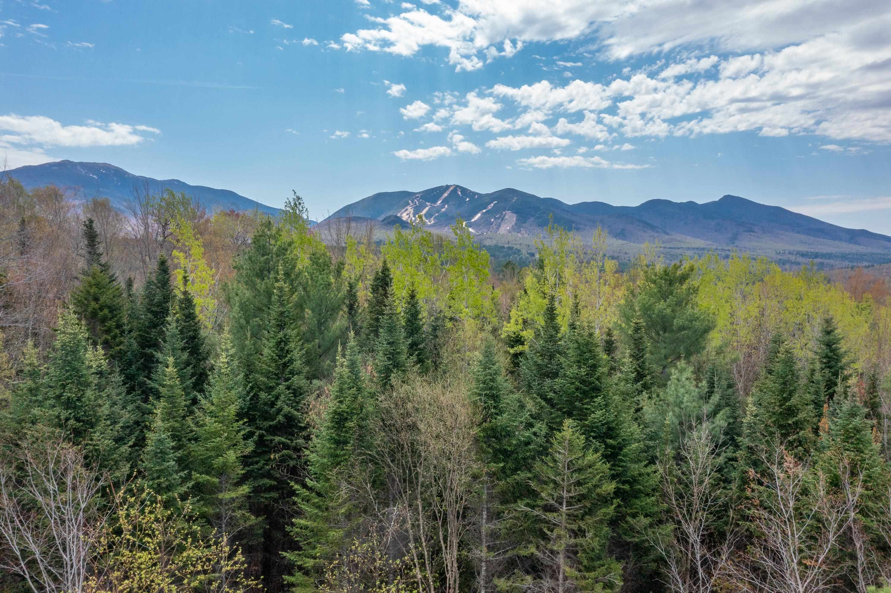 22 Indian Pipe Road Franconia, NH 03580 - Photo 20 of 21