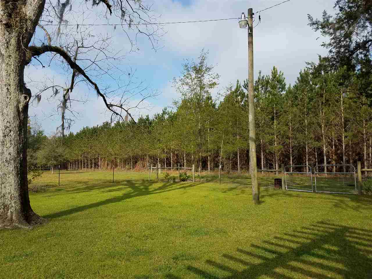 4240 Northwest Farm Center Road Madison, FL 32340 - Photo 13 of 36