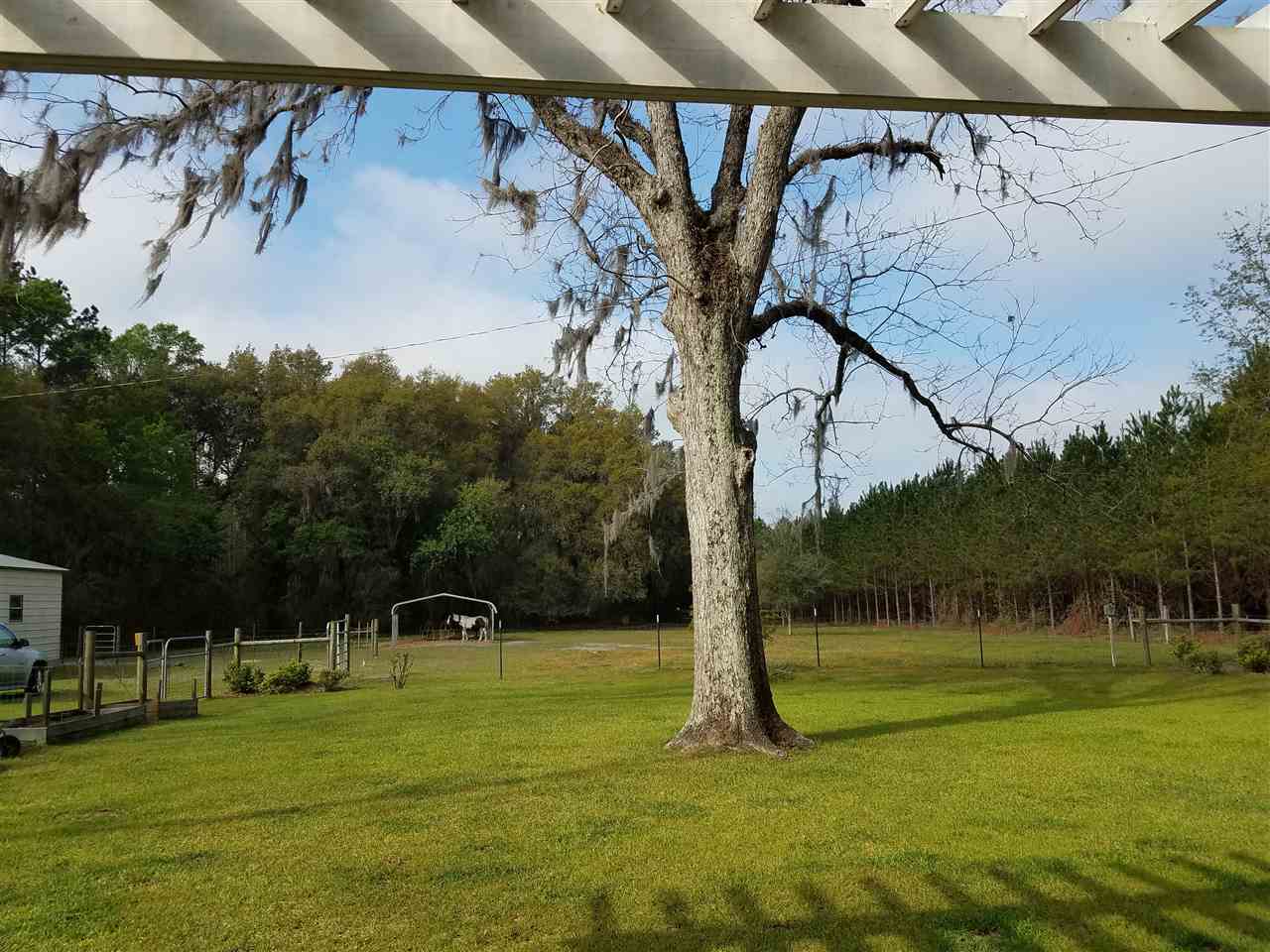 4240 Northwest Farm Center Road Madison, FL 32340 - Photo 14 of 36