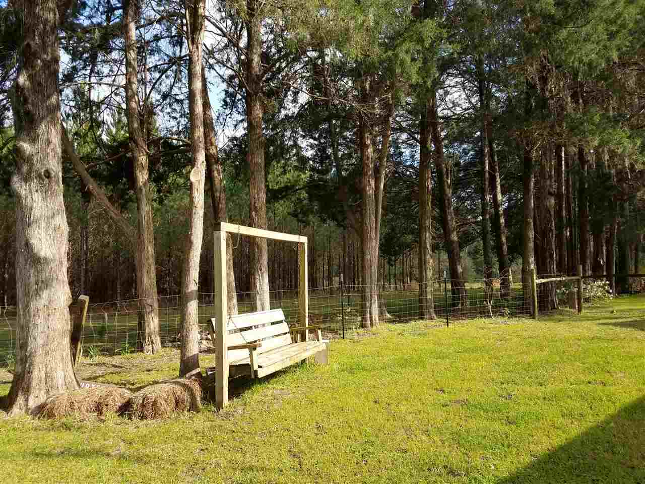 4240 Northwest Farm Center Road Madison, FL 32340 - Photo 15 of 36