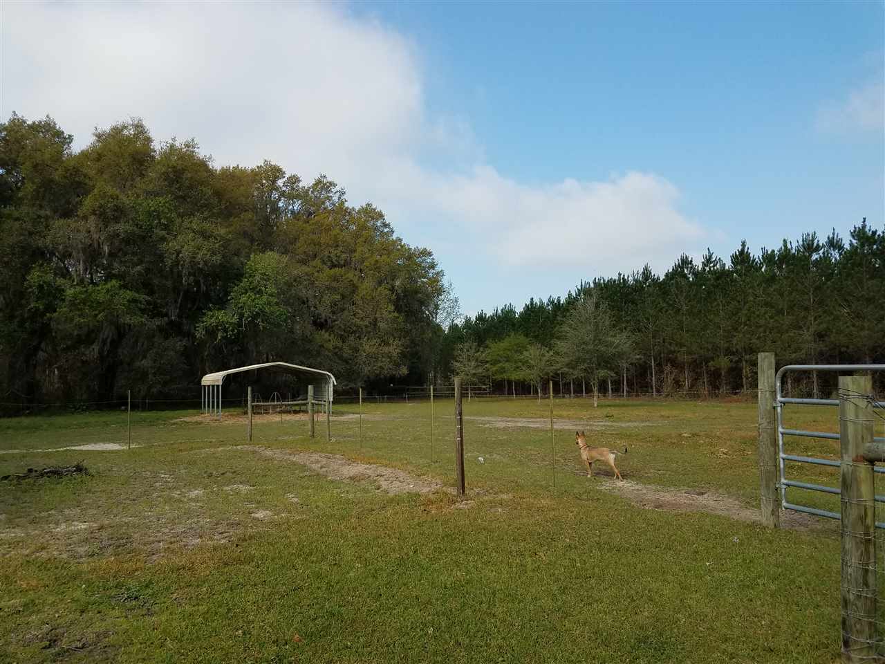 4240 Northwest Farm Center Road Madison, FL 32340 - Photo 4 of 36