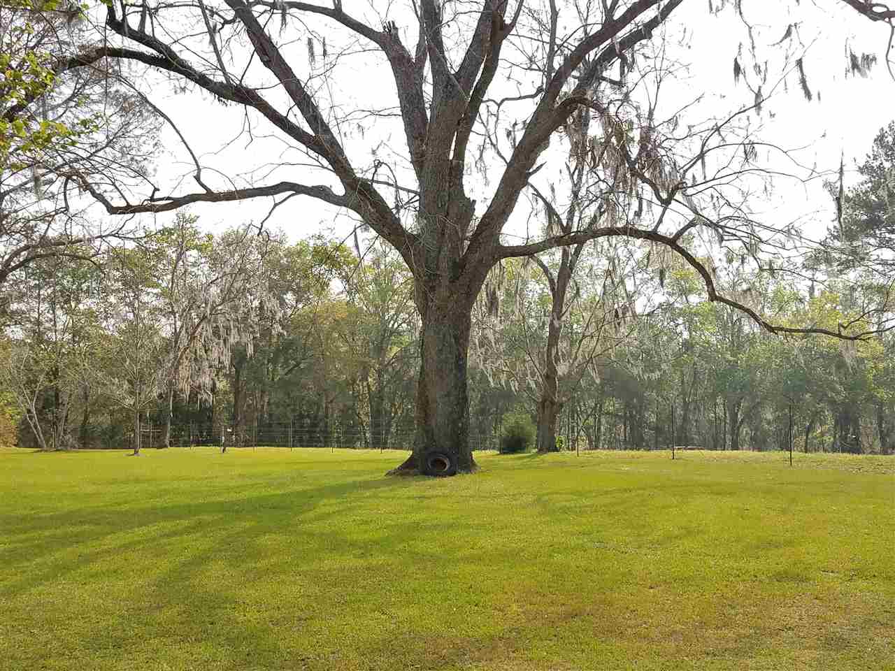 4240 Northwest Farm Center Road Madison, FL 32340 - Photo 8 of 36